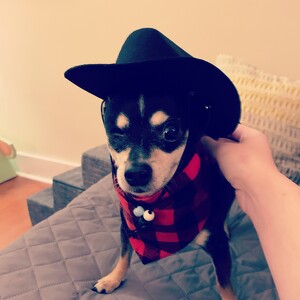 Team Page: Use the Force